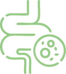 Gut Health Support